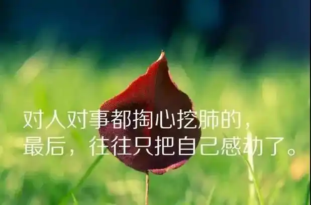 人生哲理经典感悟短句 人生哲理一段话经典