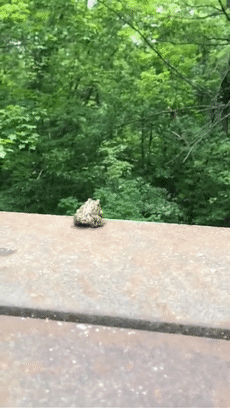 230_408gif 动态图 动图