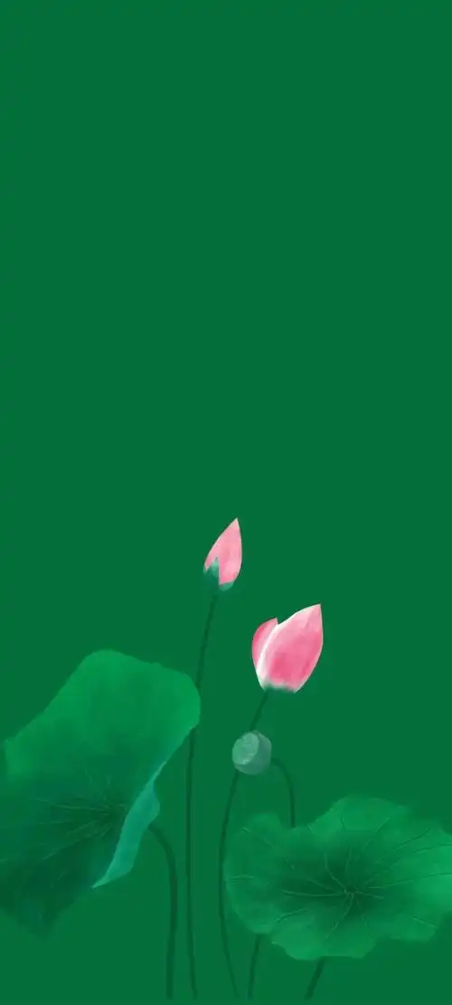 922_2048竖版 竖屏