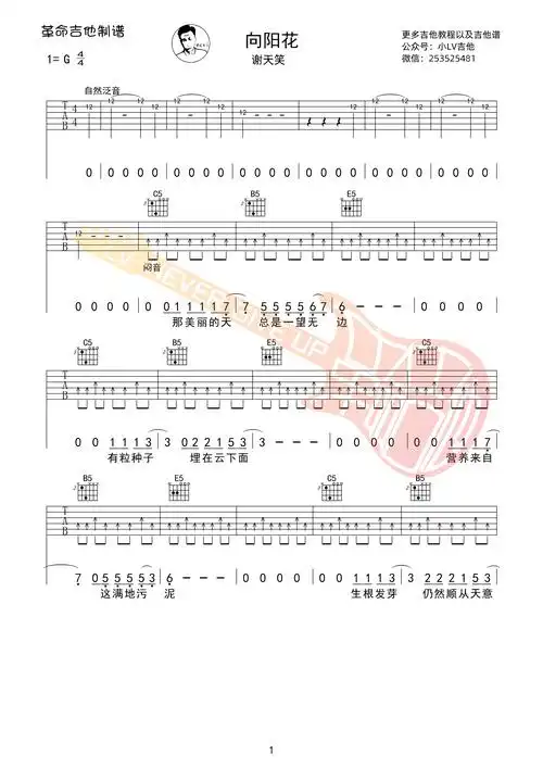 向阳花吉他谱弹唱 革命吉他版 谢天笑 - 51乐谱网