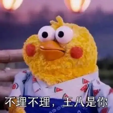 不理不理,王八是你(鹦鹉兄弟)_不理_王八_鹦鹉表情