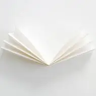 唯美简单的白色干净唯美头像图片