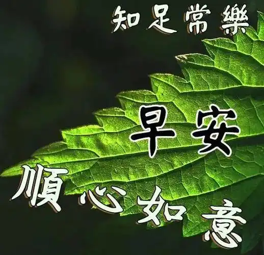 原创677张非常好看的早安问候图带祝福语6月温馨的早上好祝福短语