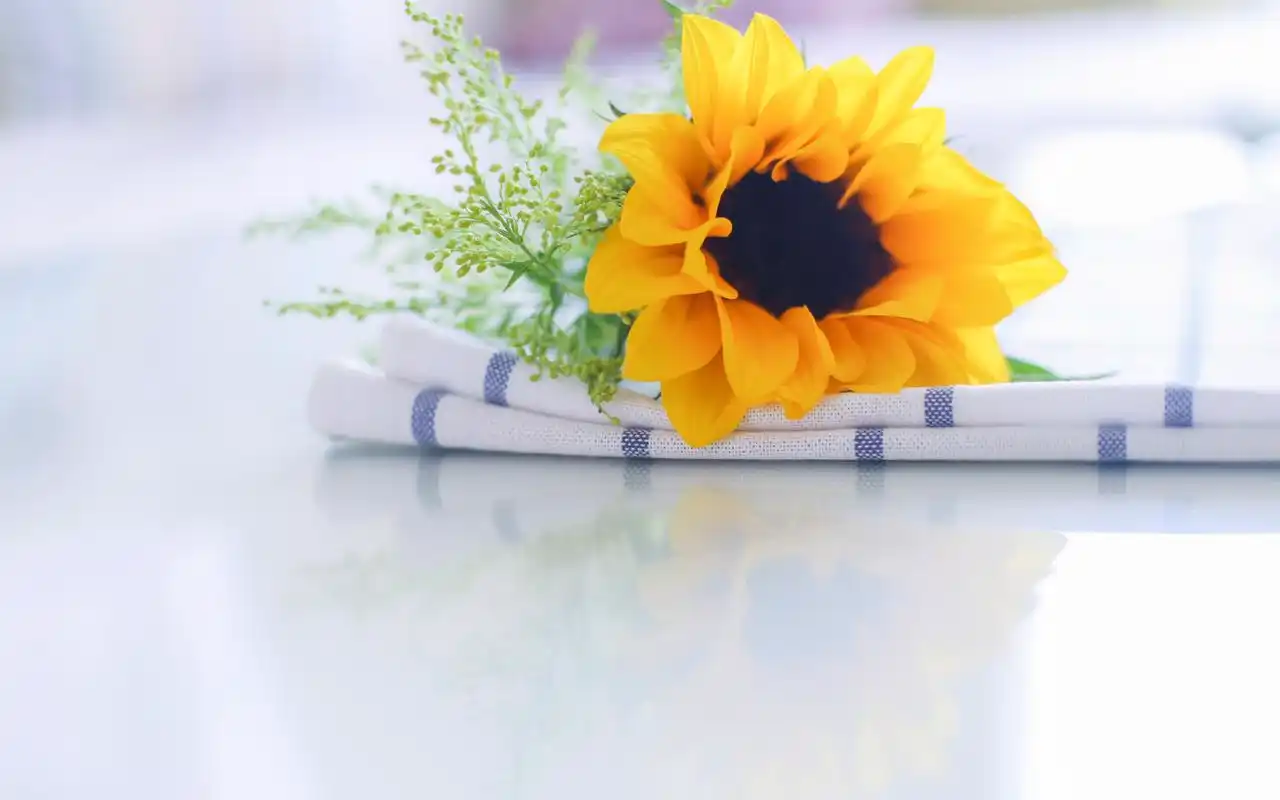 【艺术生注意】等待录取通知书期间,艺术生必须做哪些事情?