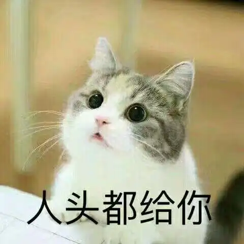 猫咪王者荣耀求带表情包 9枚高清版 最新版