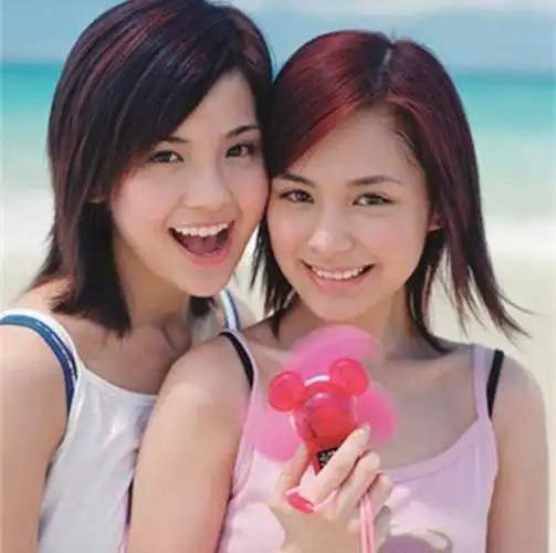 中国十大最有名的女团组合之twins