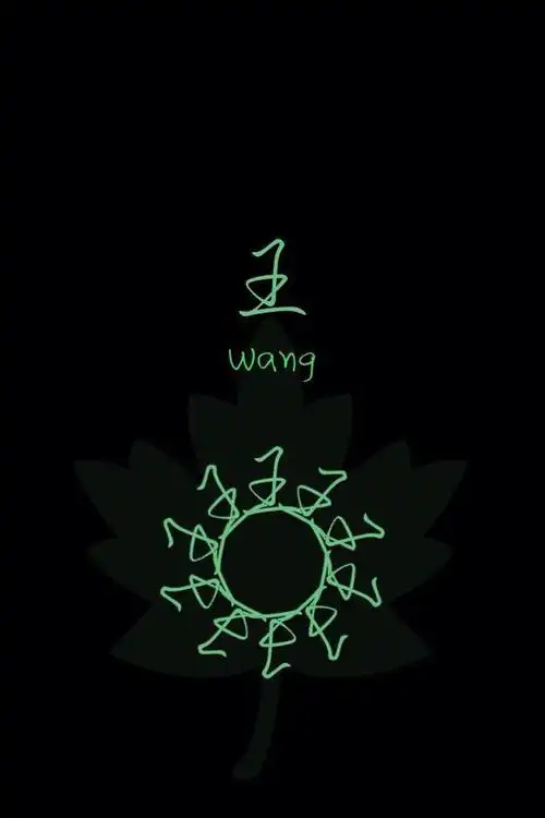 另类的姓氏壁纸王