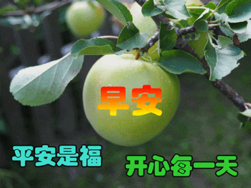 朋友圈最美特漂亮早上好表情包,2021最美早晨好动态图片大全_祝福