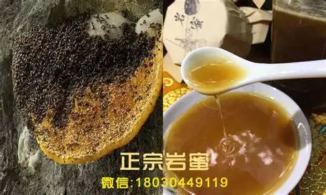 石蜜真假图片对比野生石蜜