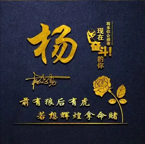 杨氏用自己姓氏做头像