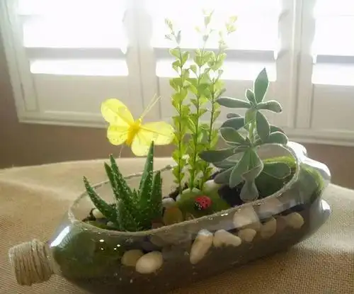 塑料瓶饮料瓶改造大全适合亲子手工手工课作业一看就会