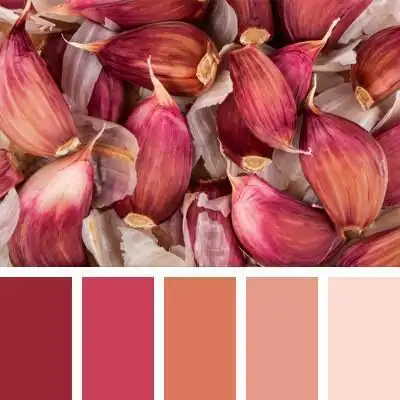 红色配色方案-感觉就是愉悦