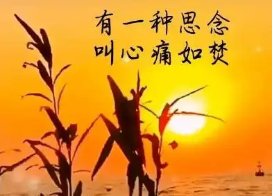 爱在心里,思念如行云流水;想你,我把相思酿成酒,醉了我痛着心_手机