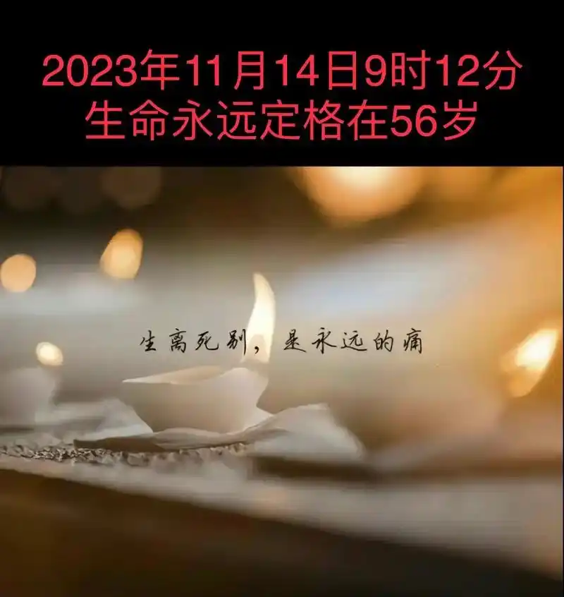 生命脆弱的让人无能为力,好久不见,已无法再见 - 抖音