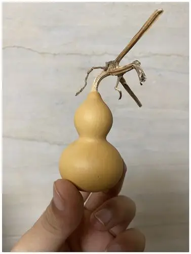 2-3厘米_2-3厘米天然精品草里金葫芦小手捻葫芦文玩迷你小葫芦美国铁