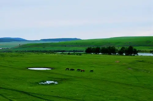 美丽的内蒙古大草原(二)----额. (共 6 p)