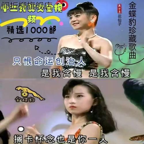 u盘带视频台语12大美女 汽车u盘32g十二大美女闽南语mp4歌曲340首