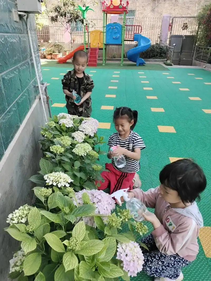 马军雏燕幼儿园95劳动最光荣,勤劳小可爱们上线9696#记录 - 抖