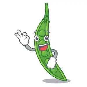 好吧,卡通碗中的雪豌豆矢量插图照片