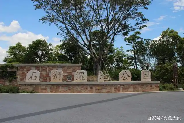 石狮湿地公园候鸟翩跹,莲池鹭影,一幅诗画江南,梦里水乡的模样