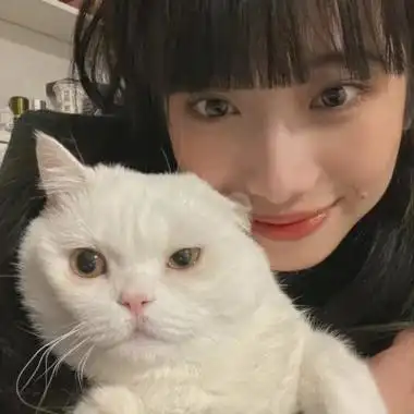 女生抱猫头像高清图片