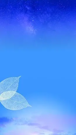 260_462竖版 竖屏