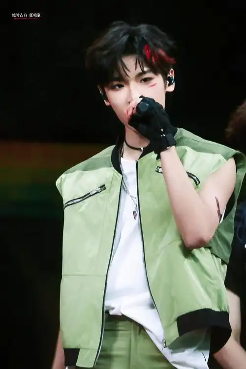 张峻豪 十六陟遐鸾起云衢##tf家族登陆计划生于火焰演唱会