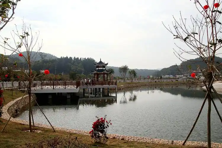 【2020回乡故事】上杭县中都镇生态湿地公园游记(刘增荣 摄影 )