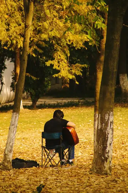 树林里弹吉他的男子