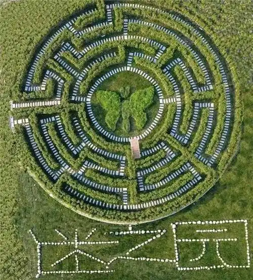 迪拜迷宫塔,八阵图,树篱迷宫——迷宫制造者脑子里在想什么?