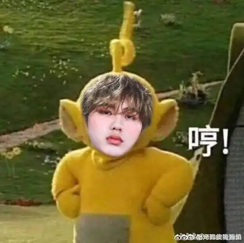 明星沙雕表情包我不看我不看我有大摩托