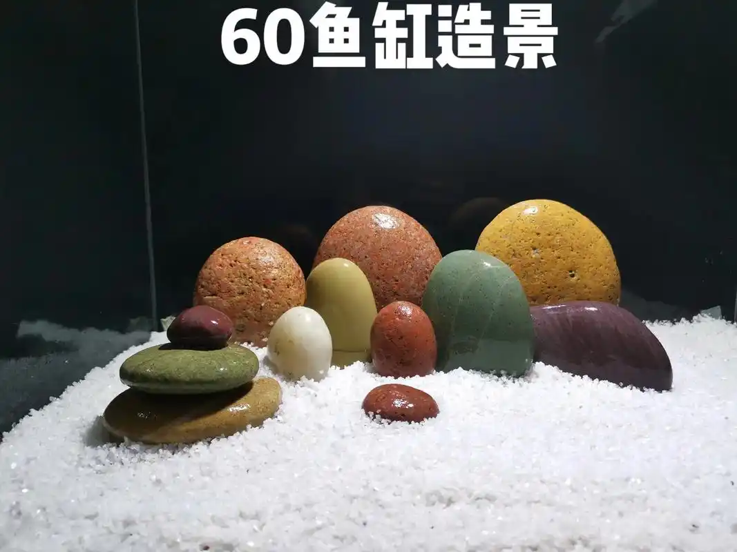 鹅卵石造景,来于自然,高于自然#玻璃缸中的大自然 #水族 # - 抖音