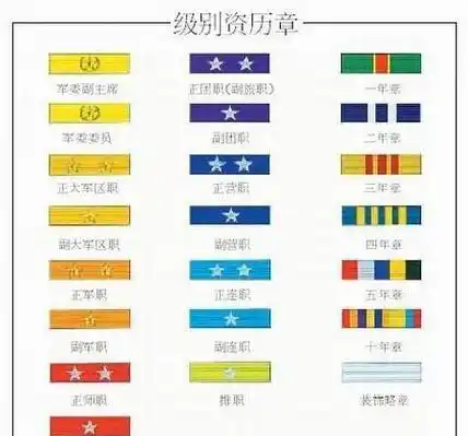 资历章_式军服_基本