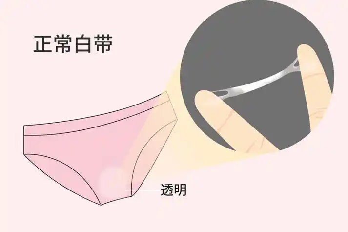 关于内裤的这4点知识,你一定要了解!_女性_分泌物_私处