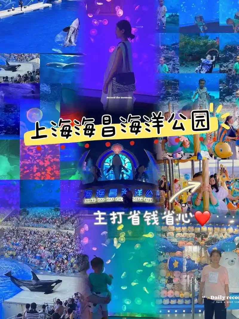 上海海昌海洋公园游玩攻略,主打省事省心
