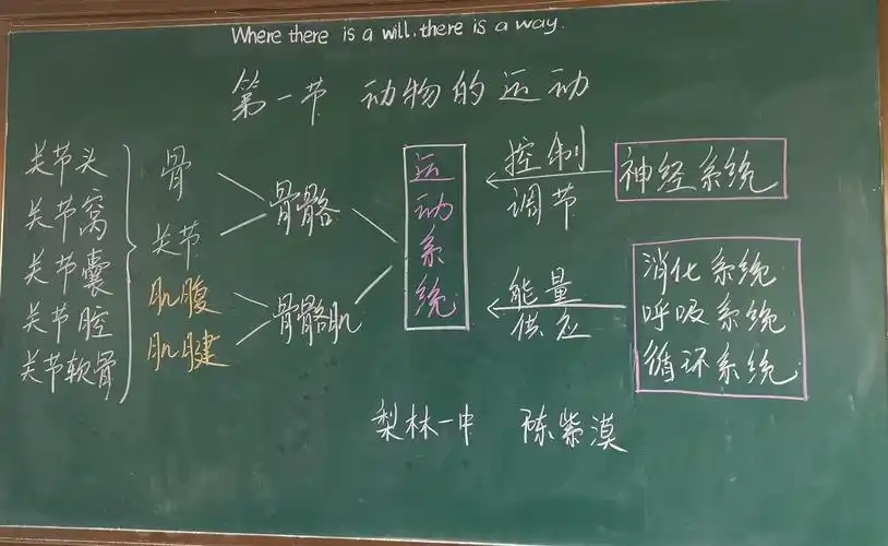 展现板书魅力,书写精彩课堂一一梨林一中开展"最美板书评选"活动