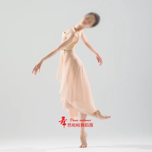 现代舞练功舞蹈服飘逸短纱裙成人儿童写真艺术照摄影服装形体表演