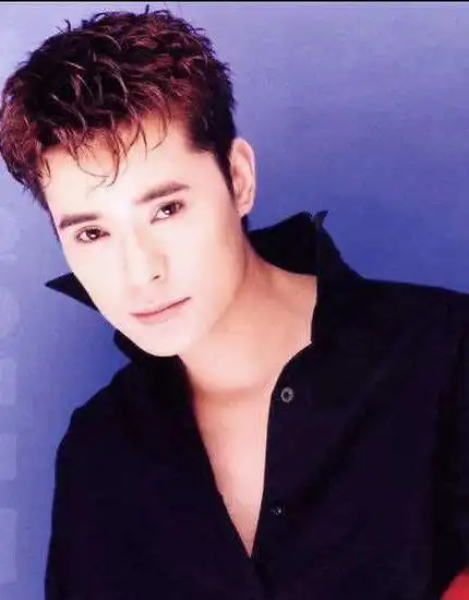 流行音乐才子陈汝佳