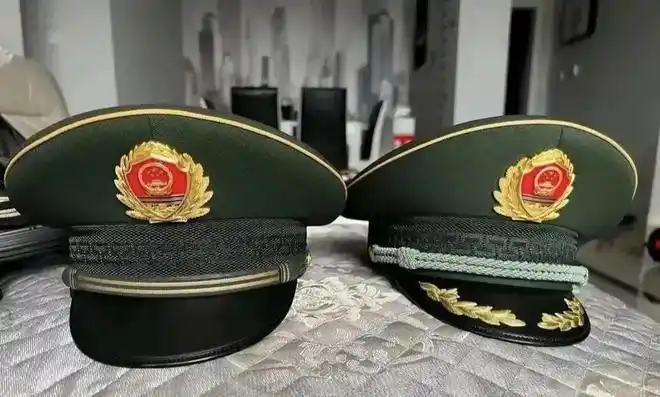 武警新帽徽很大气庄重, 如果把松枝再缩小一点那就更完美了