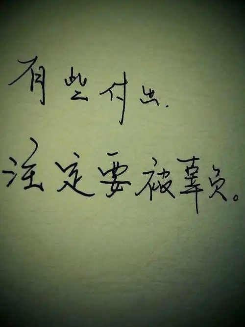 有些付出,注定要被辜负 .