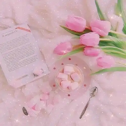 干净走心的温柔句子,句句精辟,看了让人心情好