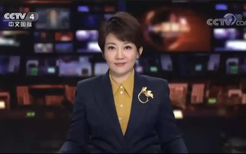 cctv4中央广播电视总台央视中文国际频道中国新闻主播王端端
