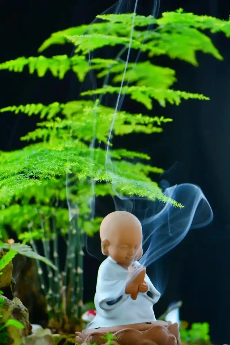 中了禅意图的毒,迷上小和尚的静,喜欢的图片不介意再发一遍.@ - 抖音