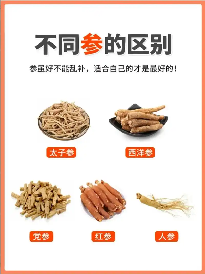 红参,西洋参,太子参,带参的中药这么多,你懂得区分吗  人参,红参