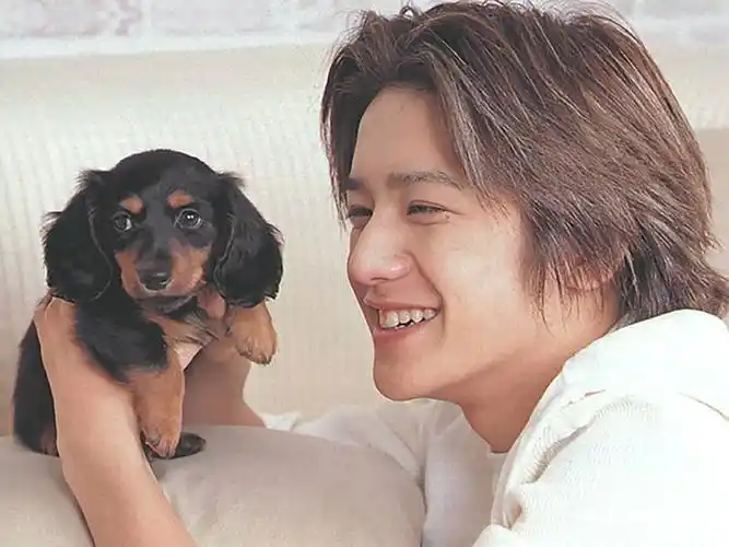 全日本颜值最高的顶级美男你最想和谁谈恋爱