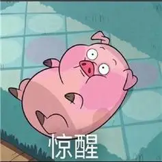 惊醒- 见过那么多猪,还是你最可爱_猪_卡通_萌萌哒表情