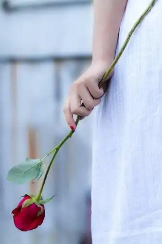 愿你平凡无故事 小清新意境qq皮肤大图