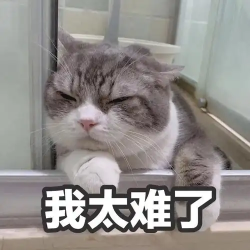 萌宠gif猫星人gif我太难了gif不开心gif呆萌gif可爱gif