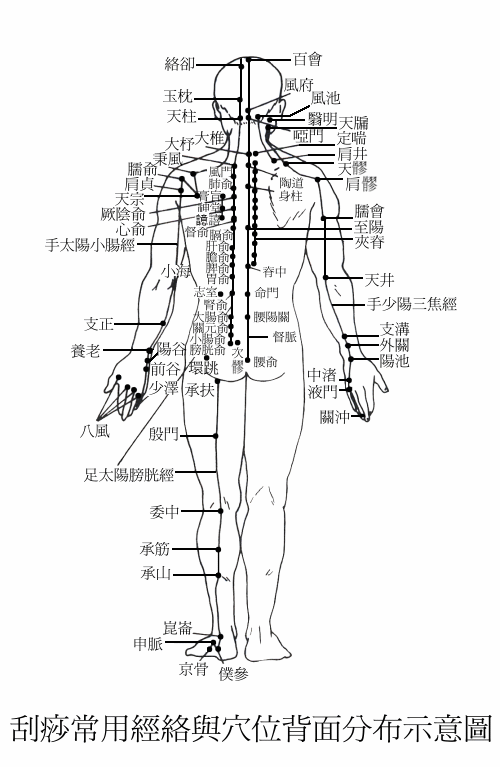 刮痧常用经络与穴位分布示意图及常见病症的刮痧治疗手法