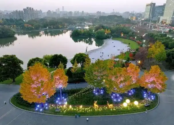 镜头里的静安|满屏金黄如画卷,来大宁公园,寻一处幽静,觅一份清欢